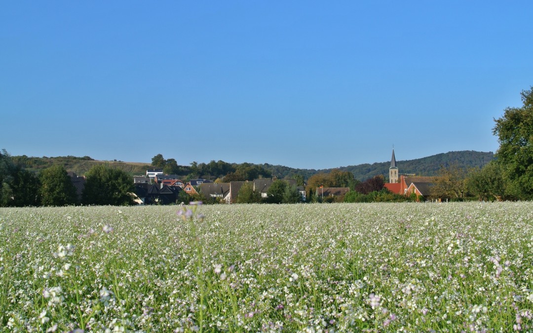 Blick auf Brochterbeck