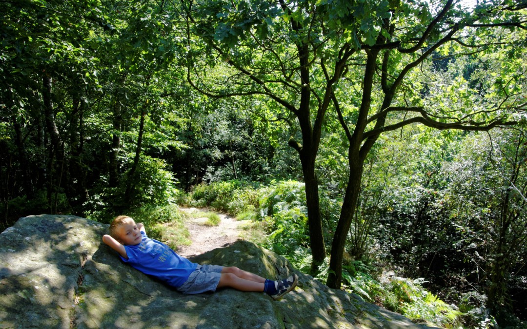 Der letzte schöne Sommertag