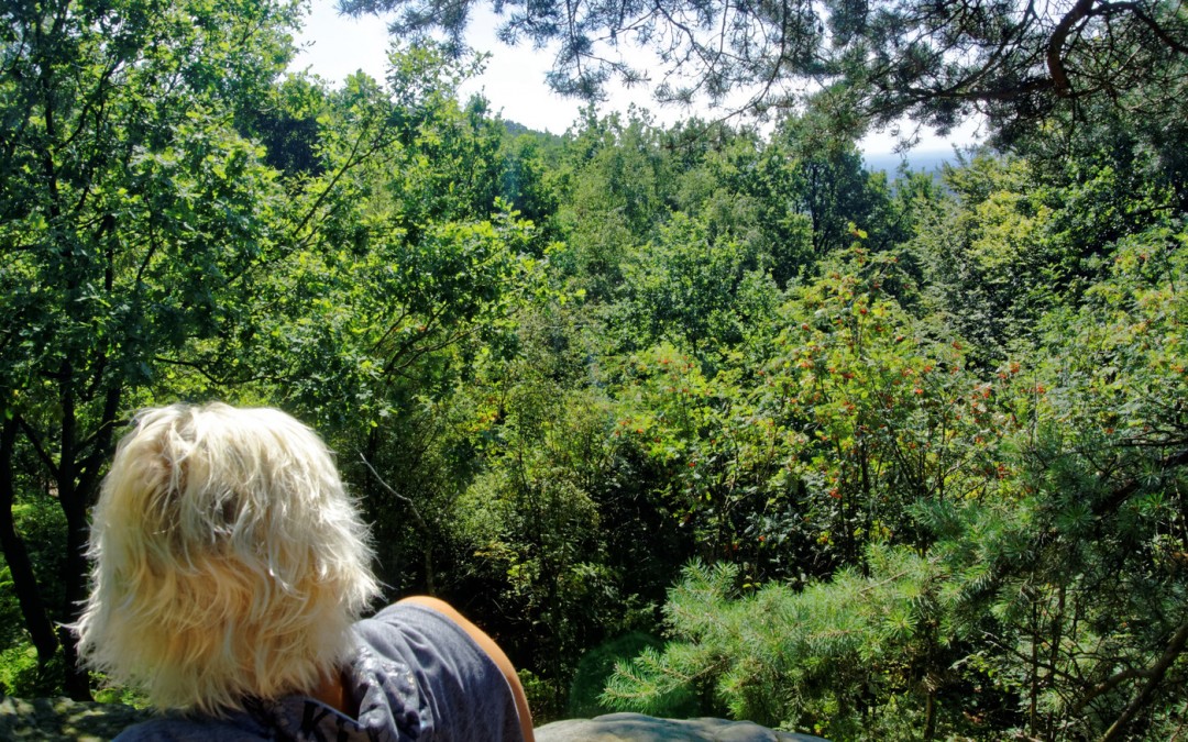 Blücherfelsen renoviert!