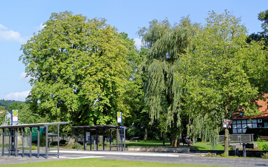 …und noch einmal HLP