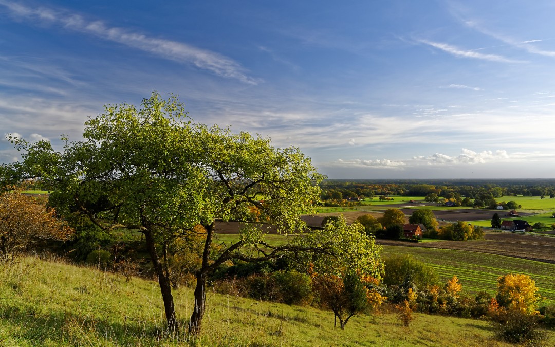 Am Eingang zum Canyon